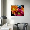 thumbnail image 4 of Colorful Print on Canvas Wall Art Multicolor Flower Picture Wall Art Modern Artwork for Home Decor, 4 of 5