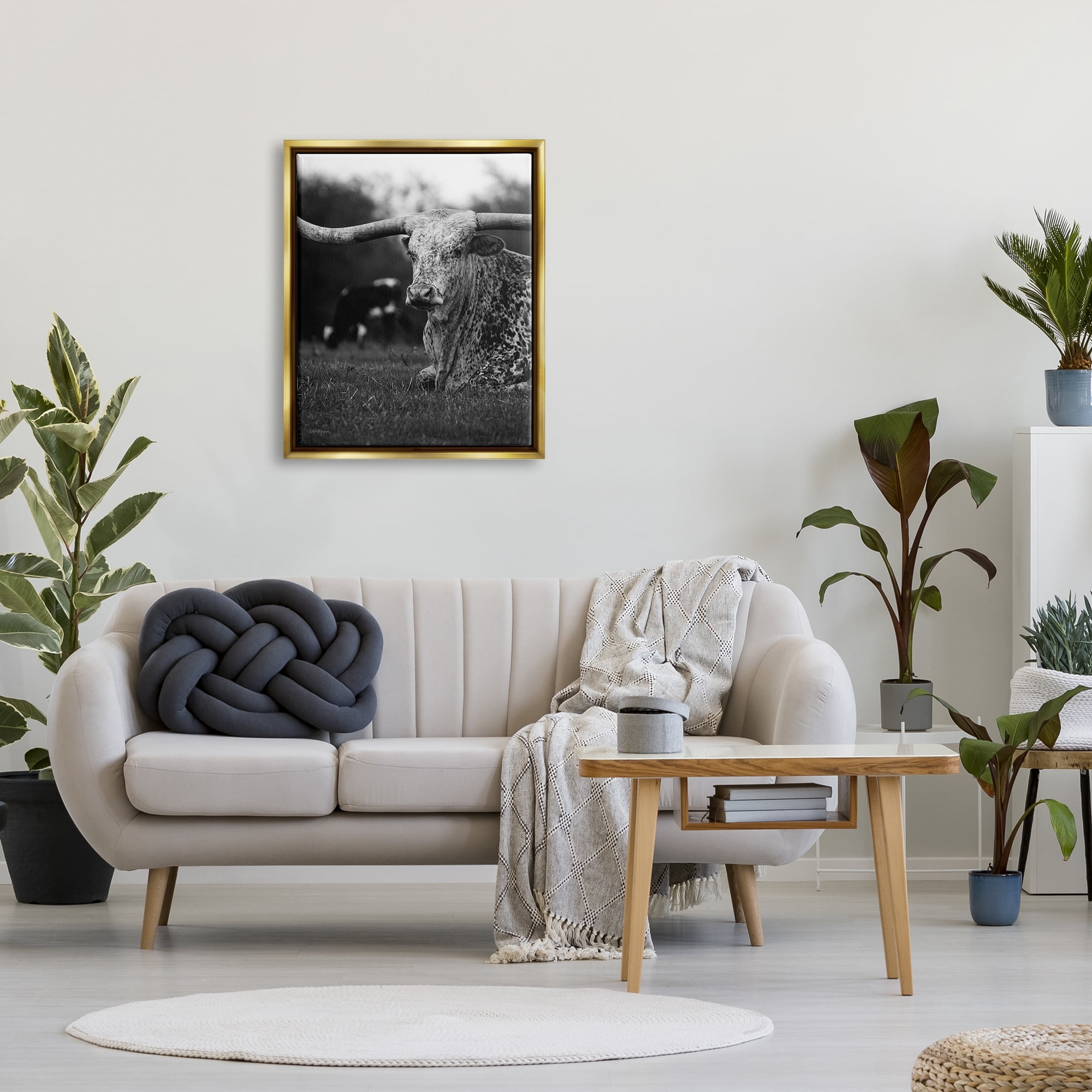 Stupell Industries Resting Longhorn Photography Animals & Insects Photography Gold Floater Framed Canvas Art Print Wall Art, 25 x 31