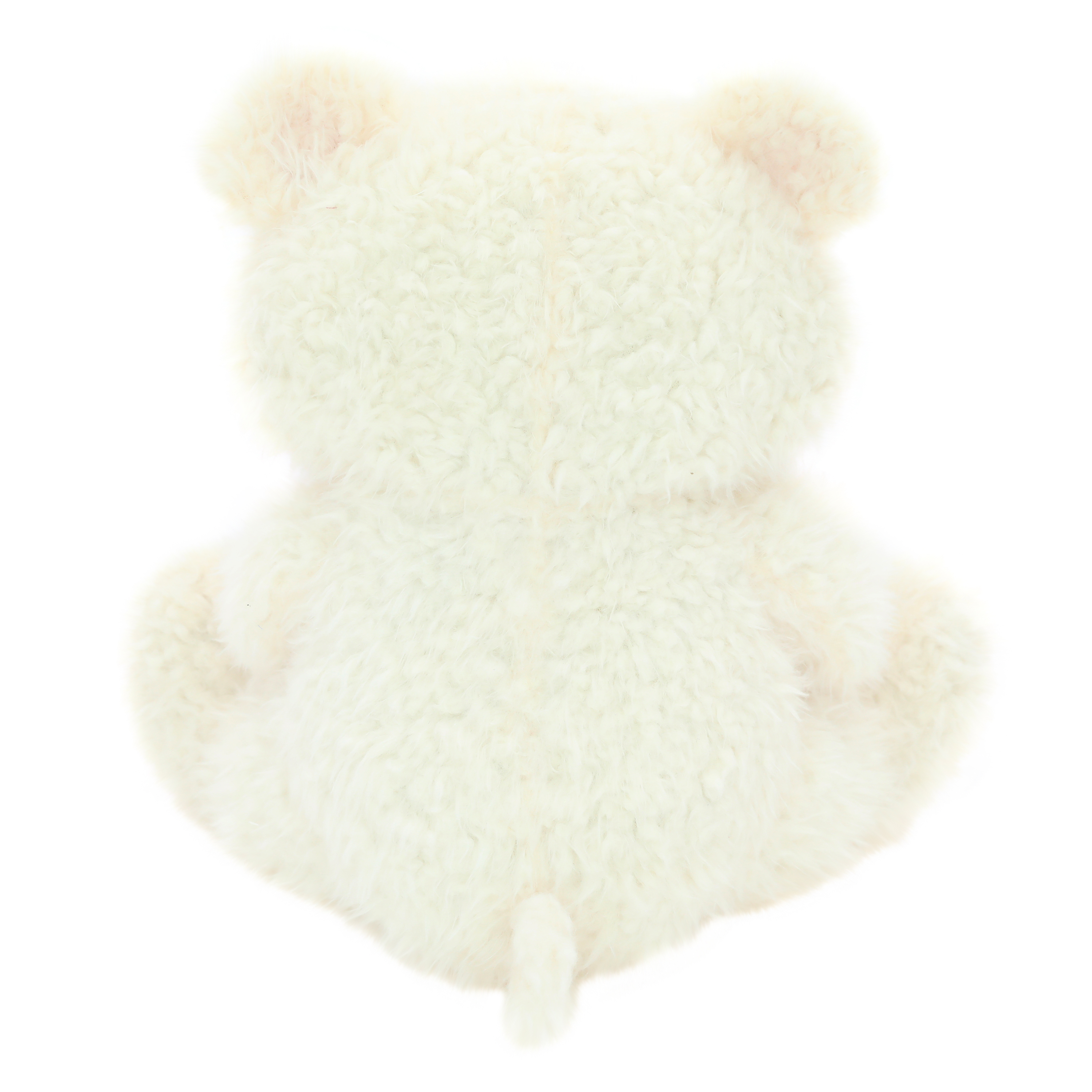 9pcl Heart Bear Asmt