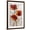 Brown Frame, variant on Art.com Red Poppies on Taupe I Stretched Canvas Print Wall Art by Tim O'toole, 12" x 18"