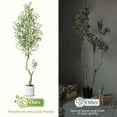 thumbnail image 5 of Artificial Olive Trees, 2Pcs 7ft Tall Faux Olive Tree with Planter Artificial Plants with Natural Wood Trunk and Lifelike Olive Fruits for Home Office Decor, 5 of 8