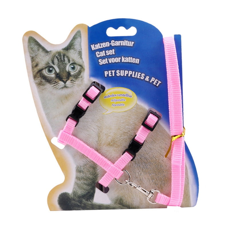 Pet Gear, Collars, Chew Toys, Pet Carriers