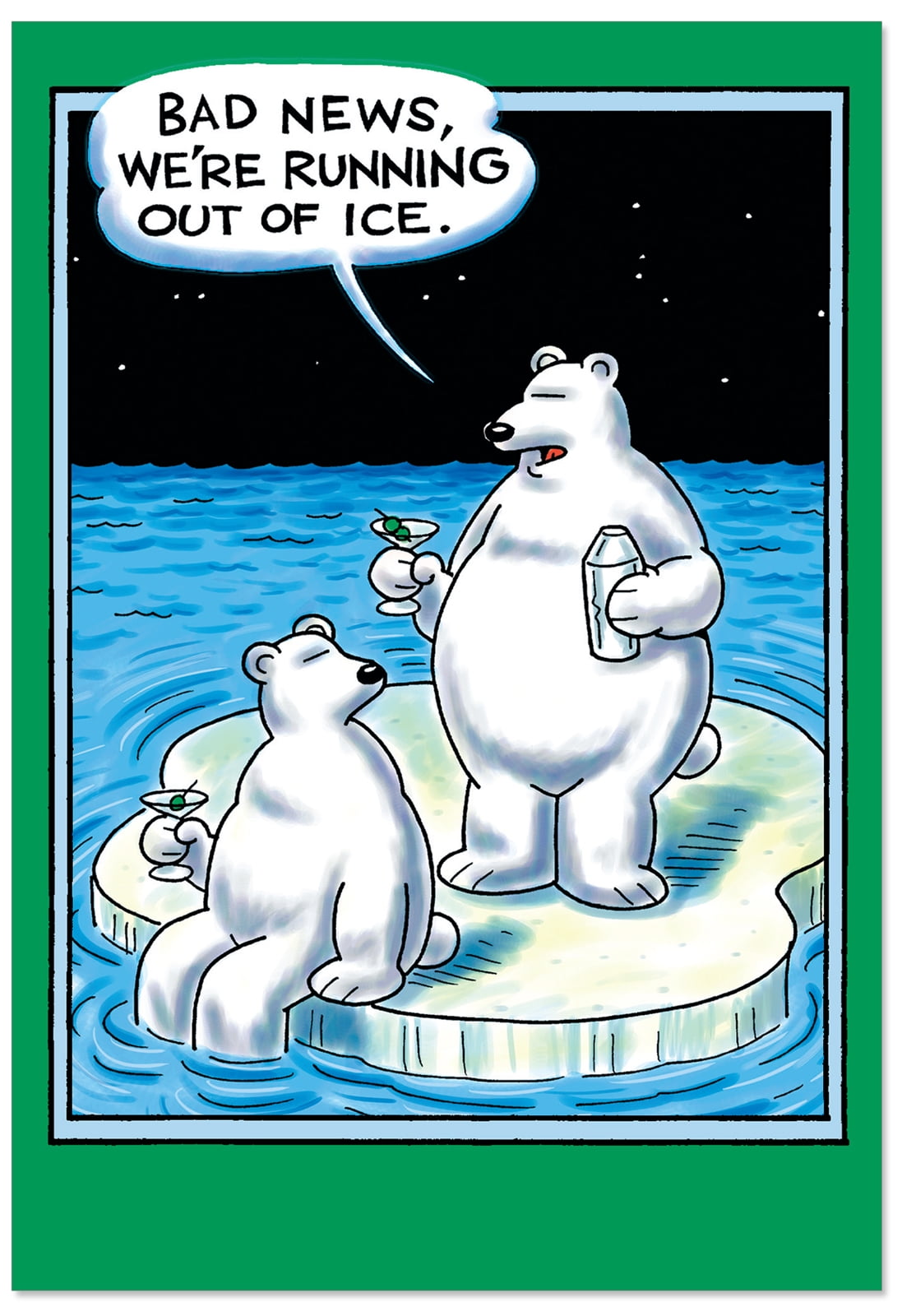 B5738K Box Set of 12 Out of Ice Funny Blank Christmas Cards w/ White w/ Envelopes, NobleWorks