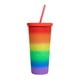 thumbnail image 5 of Vaso de plástico doble pared y popote -pride, 5 of 7