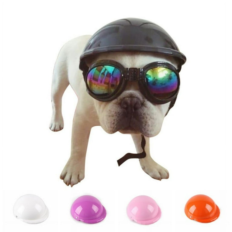 Kool dawg sale doggie helmet