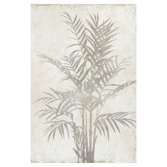Foliage Shadow by Tania Bello Canvas Art Print