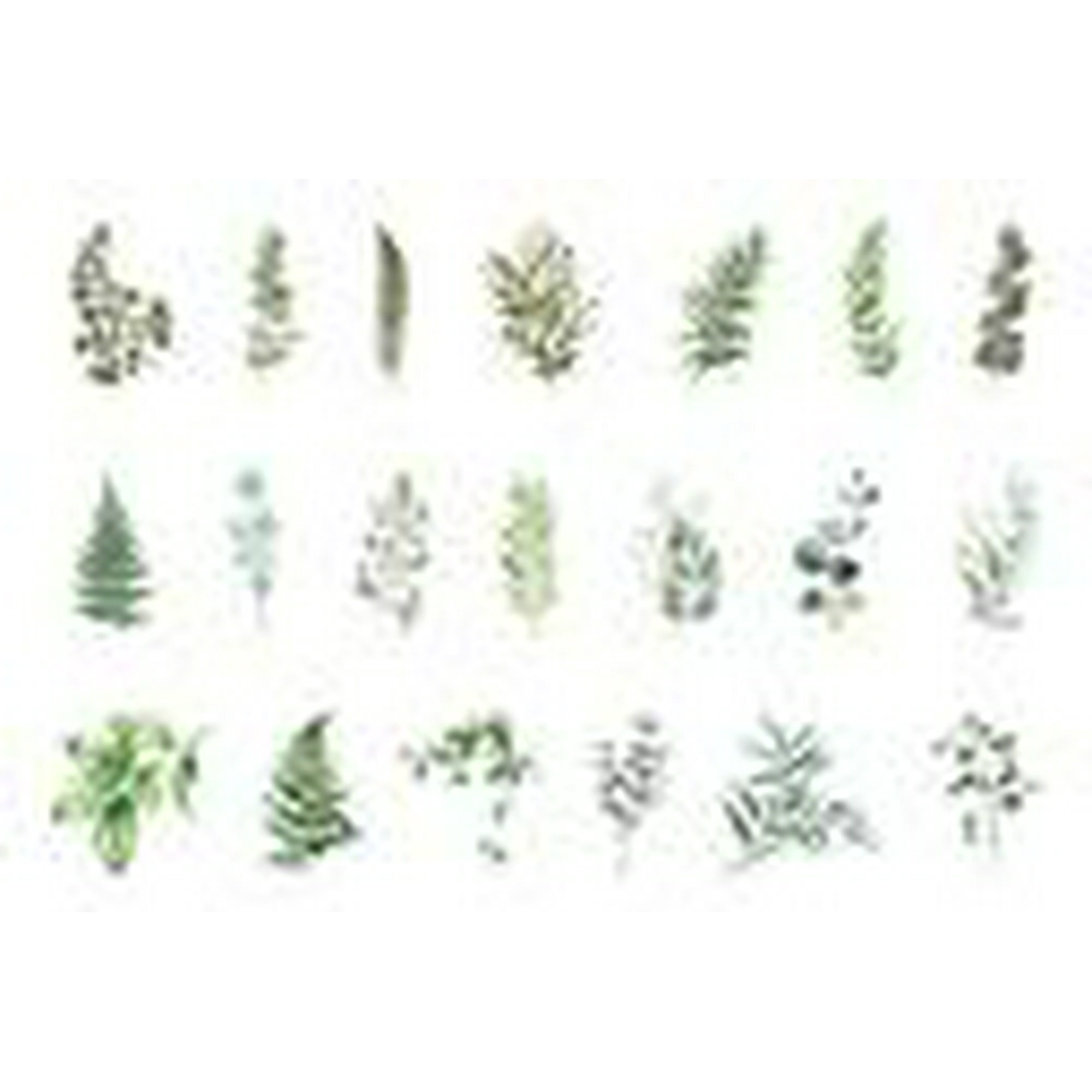 40 Sticker Scrapbook Diseños Hojas Verdes