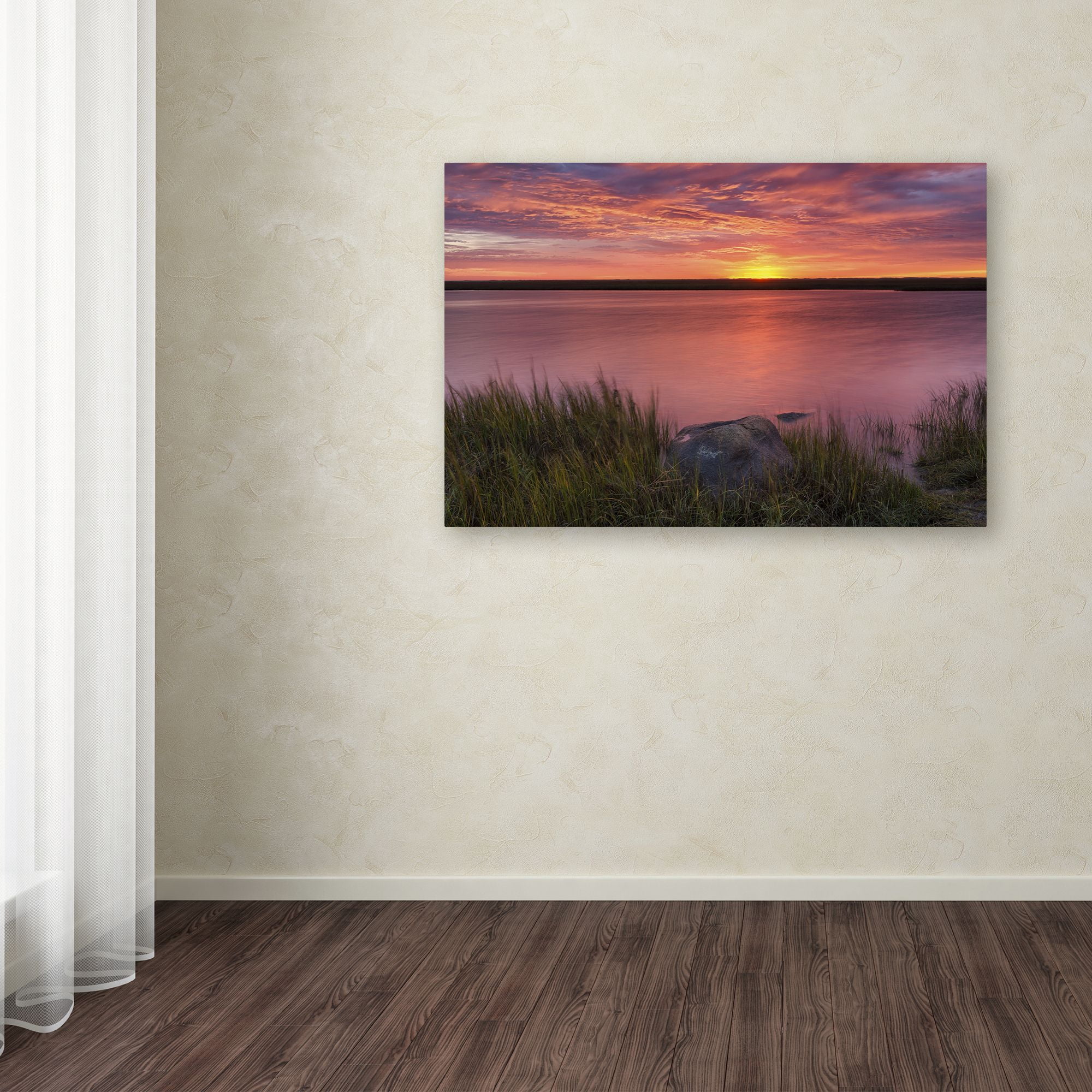 Trademark Fine Art "Windy Marsh" Canvas Art by Michael Blanchette Photography