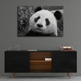 thumbnail image 4 of Epic Art 'Giant Panda' by SD Smart, Acrylic Glass Wall Art, 36"x24", 4 of 8