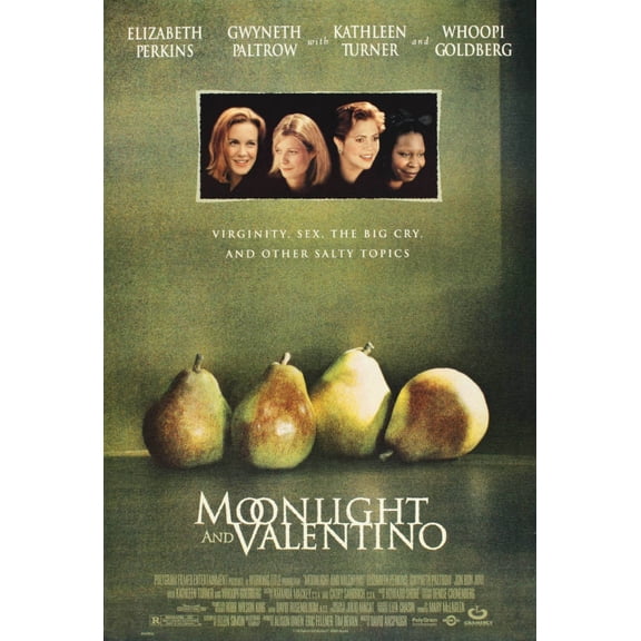 Moonlight And Valentino Movie Poster Reprint 27inx40in for any room 27x40 Square Adults Poster Time
