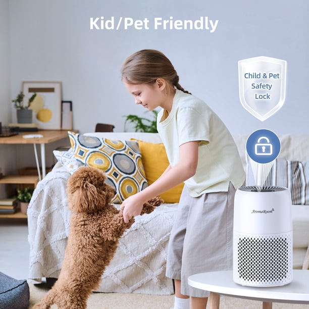 Aromaroom H13 HEPA Portable Mini Air Purifier, Dander & Smoke