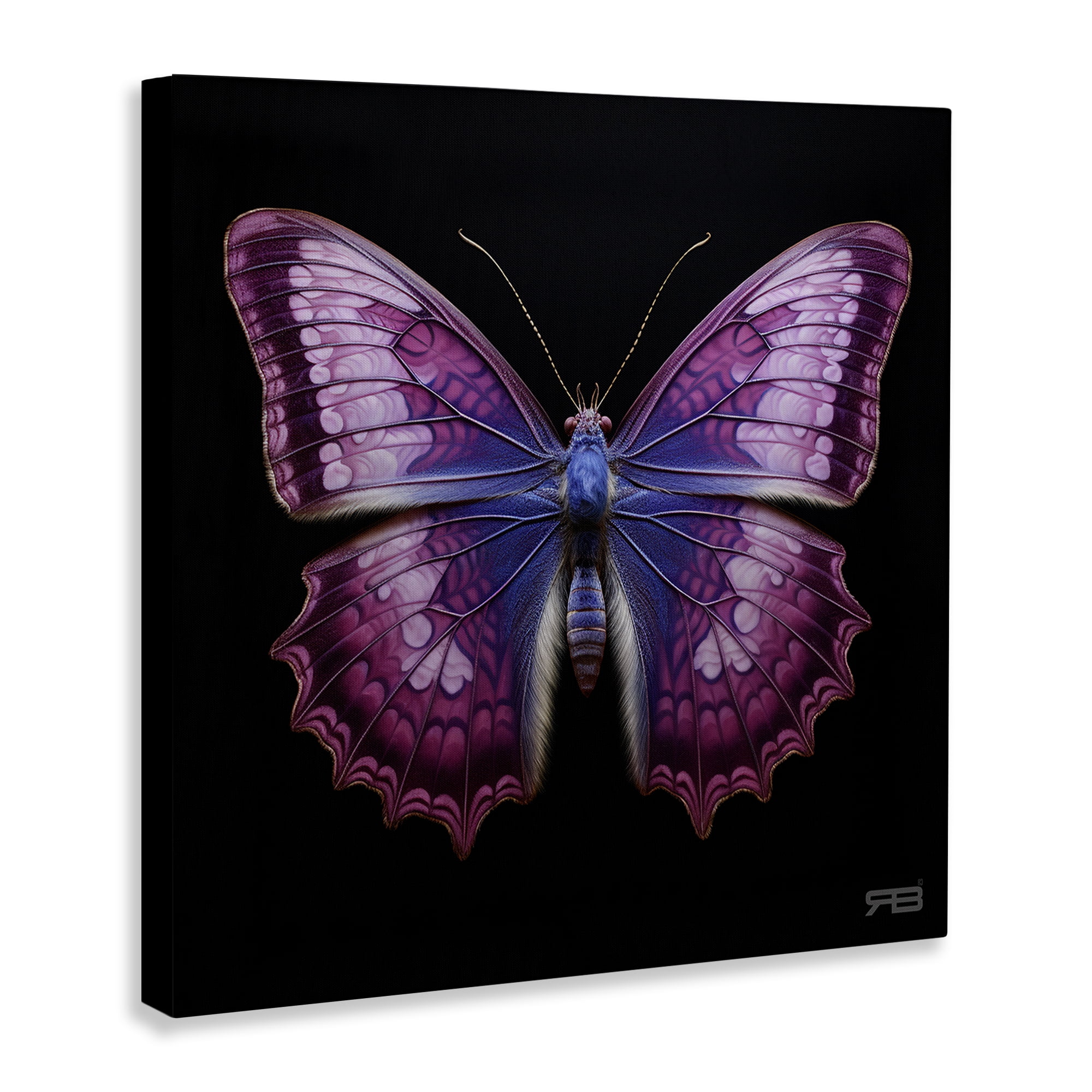 Stupell Industries Vivid Purple Butterfly Animals & Insects Painting Gallery Wrapped Canvas Art Print Wall Art, 36 x 36