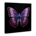 thumbnail image 4 of Stupell Industries Vivid Purple Butterfly Animals & Insects Painting Gallery Wrapped Canvas Art Print Wall Art, 36 x 36, 4 of 8