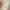 Green, variant on 2'x6' Kitchen Runner Rug,Non-Slip Entryway Runner Laundry Rug,Boho Indoor Machine Washable Hallway Runner Rugs Throw Carpet for Living Room Bedroom Dining Room Hallway Kitchen Beige