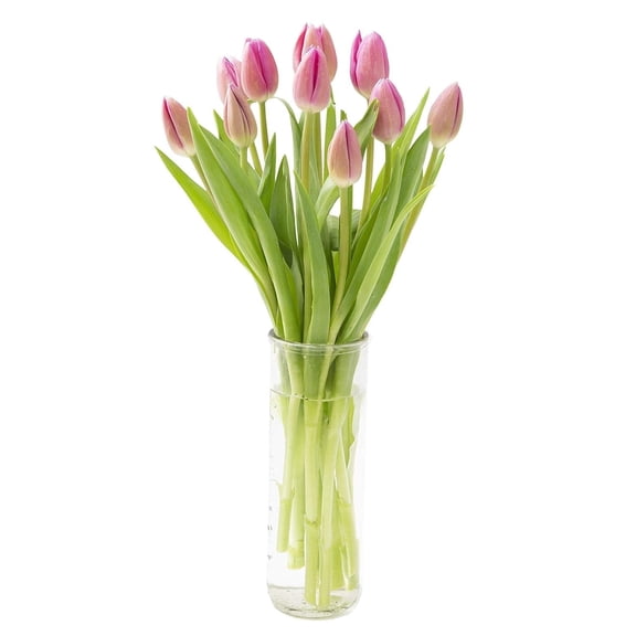 KaBloom: 10 Pink Tulips with Vase, Next-Day Delivery, Gift for Every Occasion.