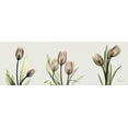 thumbnail image 2 of Koetsier, Albert 18x9 Gold Ornate Wood Framed with Double Matting Museum Art Print Titled - Spring  Tulip Triple, 2 of 4