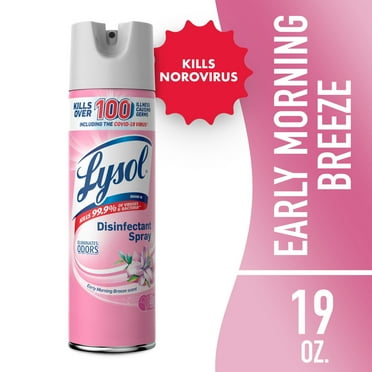 Lysol Disinfectant Spray for Sanitizing Antibacterial Disinfecting, Early Morning Breeze, 19 fl oz