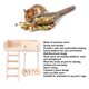 thumbnail image 3 of Columpio De Escalera De Plataforma Para Hámster ANGGREK Juguetes De Plataforma De Madera Para Hámster, 3 of 7