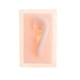 thumbnail image 2 of 2 Pcs Modelo de Oreja Izquierda Derecha Accesorio Salud atención Personal, 2 of 9