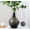 Gray, variant on Large Clear Glass Vase 12 Inch - Round Glass Vase for Flowers, Clear Round Vase Pampas Grass Decor, Glass Jar Table Centerpiece Home Decor
