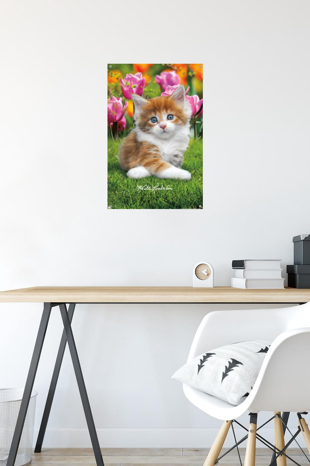 Keith Kimberlin - Maine Coon Kitten Wall Poster with Pushpins, 14.725" x 22.375"