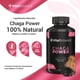 thumbnail image 5 of Chaga Power Vital Botanics con 200 Caps con Antioxidantes Vital Botanics CGA_PWER_200, 5 of 7