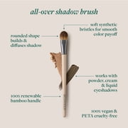 EcoTools All-Over Eye Brush