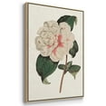 thumbnail image 3 of Pink Floral Mix VI - Framed Premium Gallery Wrapped Canvas L Frame 3 Piece Set - Ready to Hang, 3 of 9