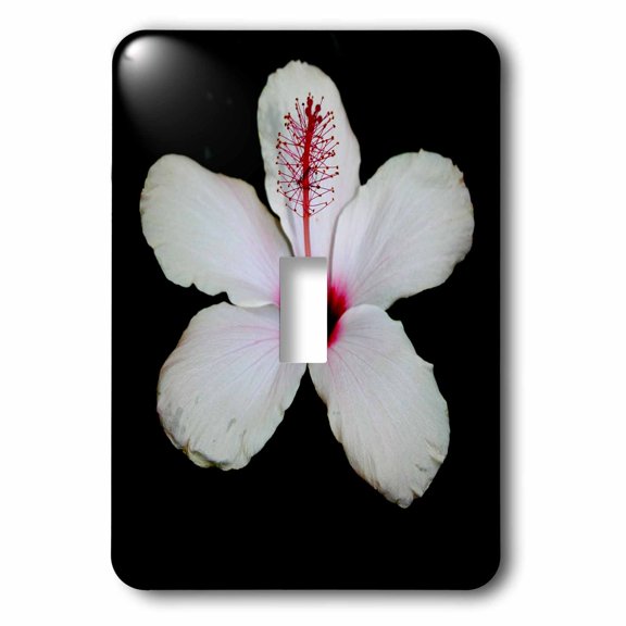 3dRose, Flower White Hibiscus, single toggle switch