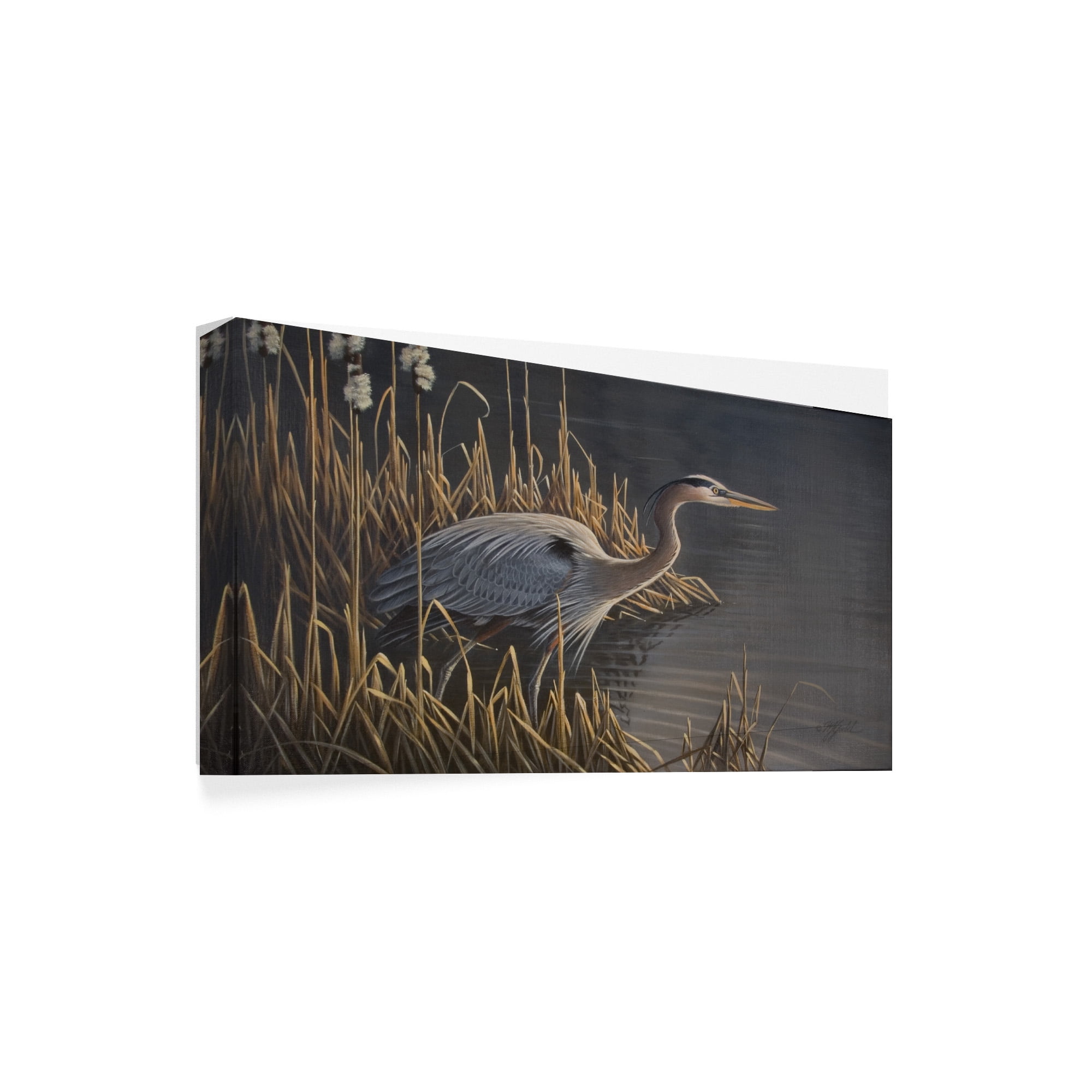 Trademark Fine Art 'Stalking The Edge Heron' Canvas Art by Wilhelm Goebel