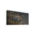 thumbnail image 2 of Trademark Fine Art 'Stalking The Edge Heron' Canvas Art by Wilhelm Goebel, 2 of 3