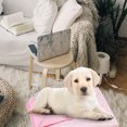 thumbnail image 3 of UPGRATOR Dog Ice Mat Rosa De Material Textil Para Regular Temperatura Y, 3 of 5