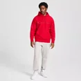 thumbnail image 2 of Champion Adult Sizing Iconic Embroidered Hoodie - Red, 2 of 6