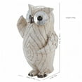 thumbnail image 2 of Estatua de búho de resina, escultura de búho, adorno divertido, artesanía linda, estatuilla de animal, para estante, mesa, patio, sala de estar, decor, 2 of 8