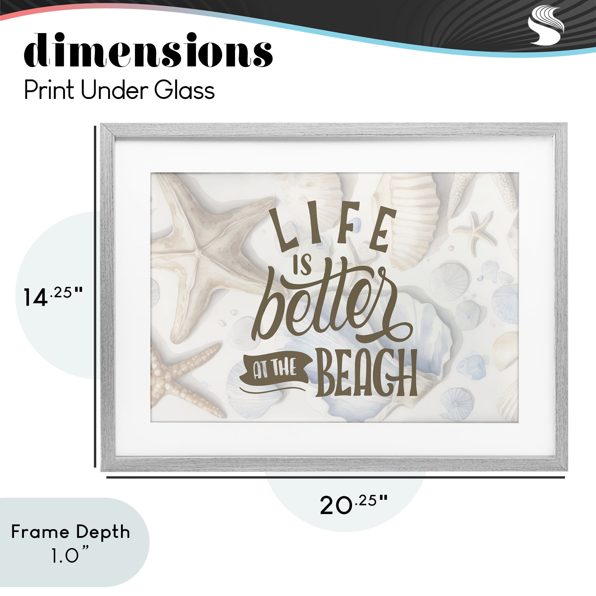 Stupell Industries Better At Beach Seashells Gray Framed Print Under Glass, design by Kim Allen
