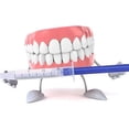 thumbnail image 4 of 10/6/4/3pc Set 44% peróxido, sistema de blanqueamiento dental Gel oral-agente blanqueador de dientes oso de fresa Hogar, 4 of 5