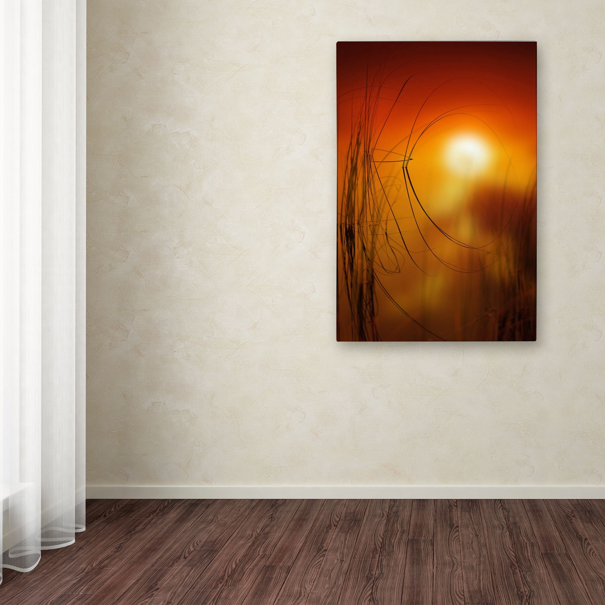 Trademark Fine Art "Nature Time Machine" Canvas Art by Philippe Sainte-Laudy