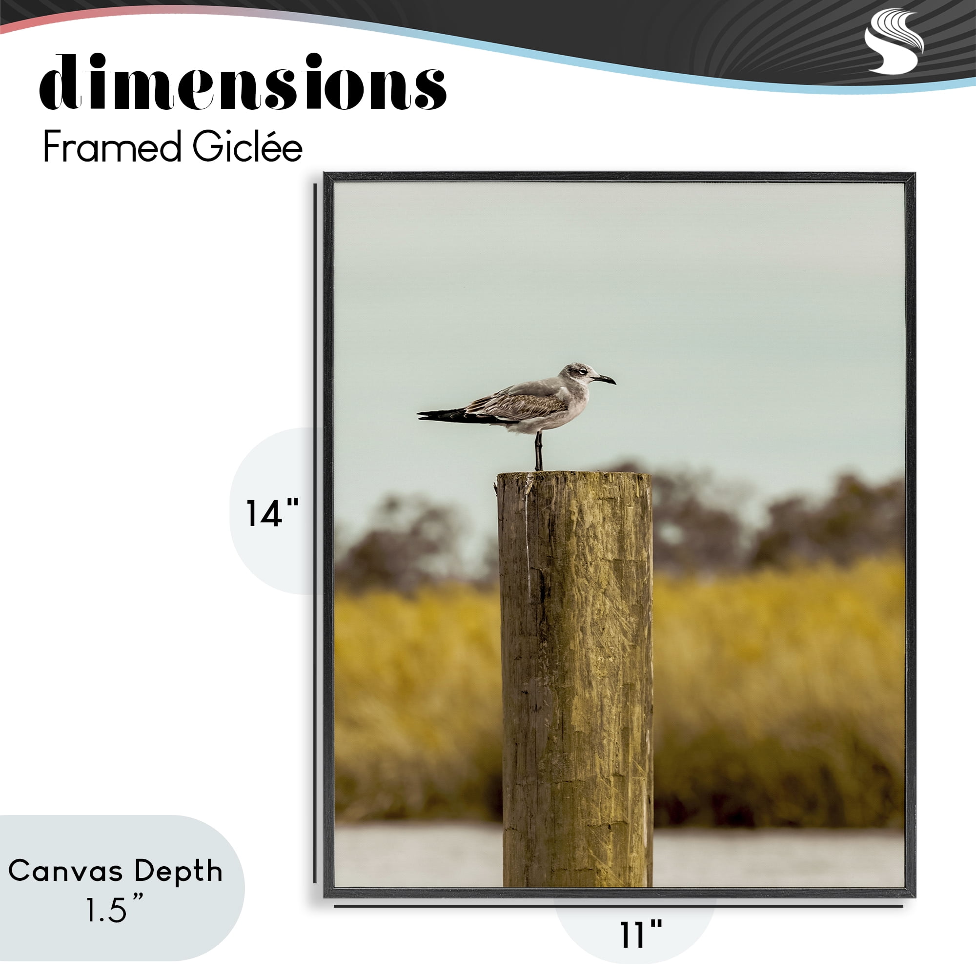Stupell Industries Gull On Piling Black Framed Giclee Art, design by Christy Berry