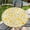 Daisy, variant on Round Fitted Tablecloth with Elastic Edge Design Table Cover Waterproof Table Cloth Stain-Resistant for 37"-44" Round Table for Dining, Picnic, Party, Decor, Outdoor, Daisy