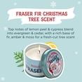 thumbnail image 2 of Vela Santa's Naturals Pino Fraser 100 g Paquete de 3, 2 of 7