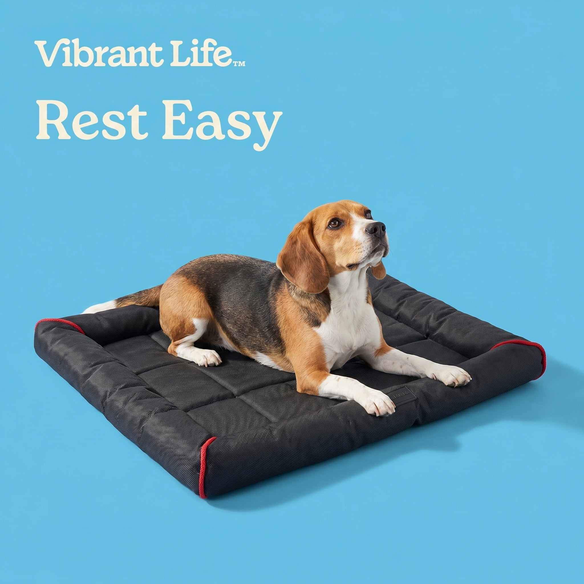 (3 pack) Vibrant Life Small to Medium Durable and Water-Resistant Crate Mat, Black, 23" x 17"