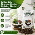 thumbnail image 4 of Creations by Nathalie Succulent & Cactus Soil Blend: Terrarium Planting Mix - Fast Drainage, 4 of 6