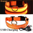thumbnail image 3 of AMERTEER 2PCS Dog Collar USB Rechargeable Glowing LED Light Adjustable Collar, 3 of 9