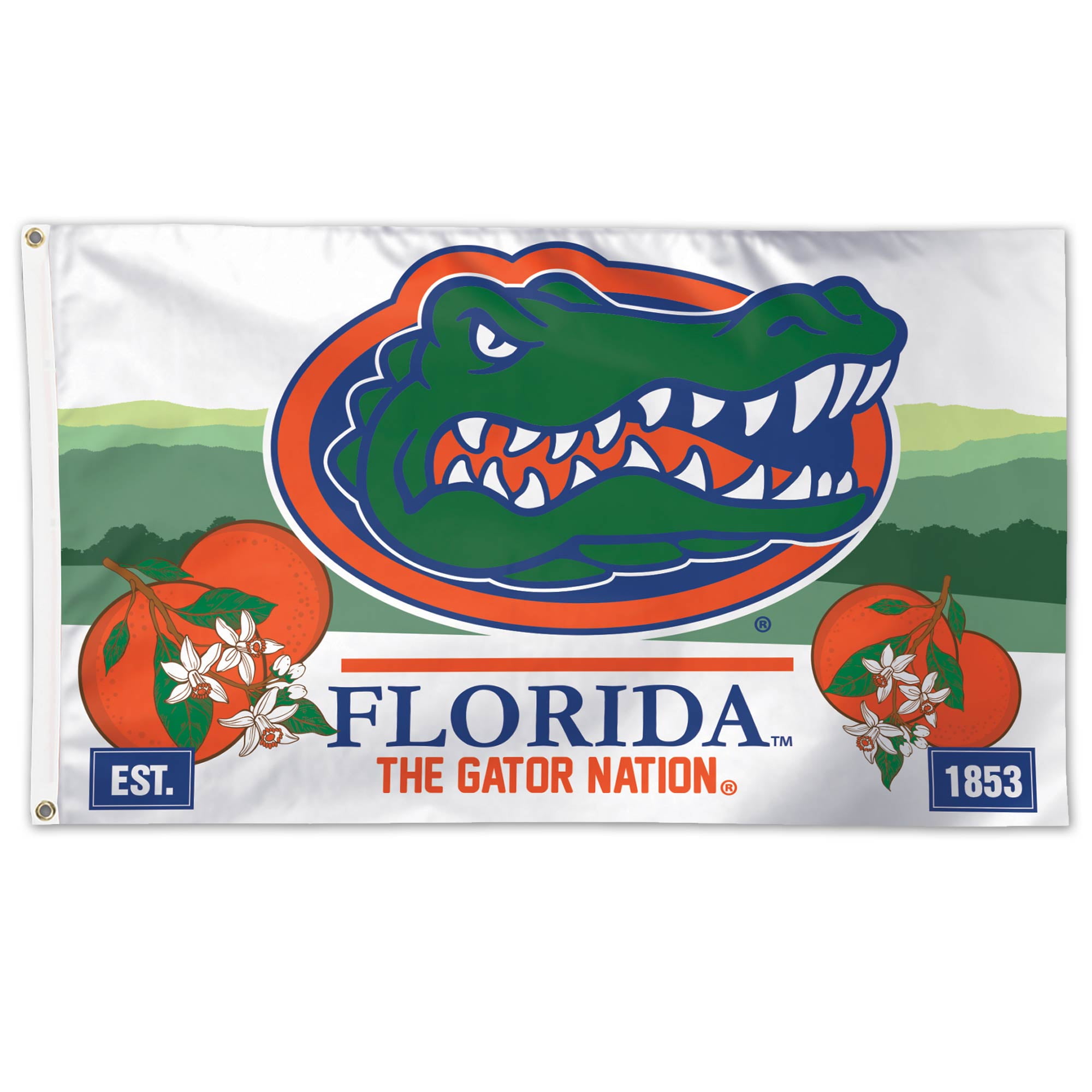 WinCraft Florida State University S11518 Specialty Acrylic License Plate