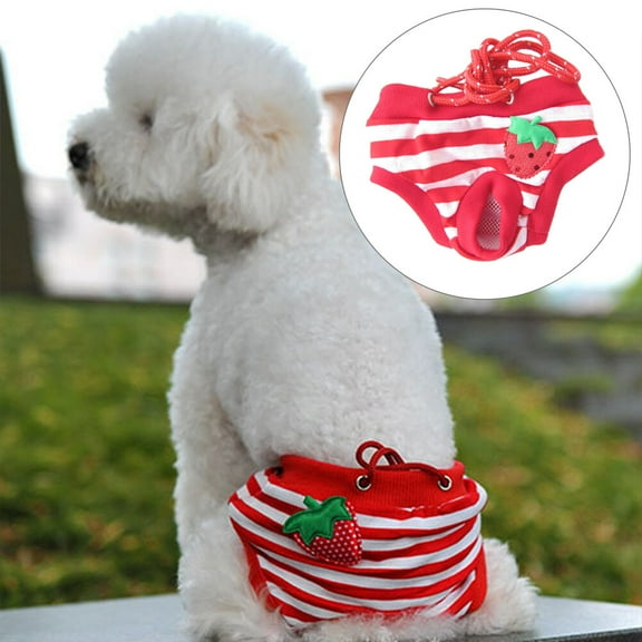 HONITANO 1Set Dog Physiological Pants Manage Incontinence for Male Dogs Xl