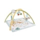 thumbnail image 1 of Gimnasio para Bebés Fisher Price Baby Primeros Sentidos Multicolor, 1 of 4