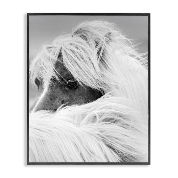 Stupell Industries Rustic Lodge Horse Gazing Windblown Mane Black Framed Giclee Art, 11 x 14, by Danita Delimont