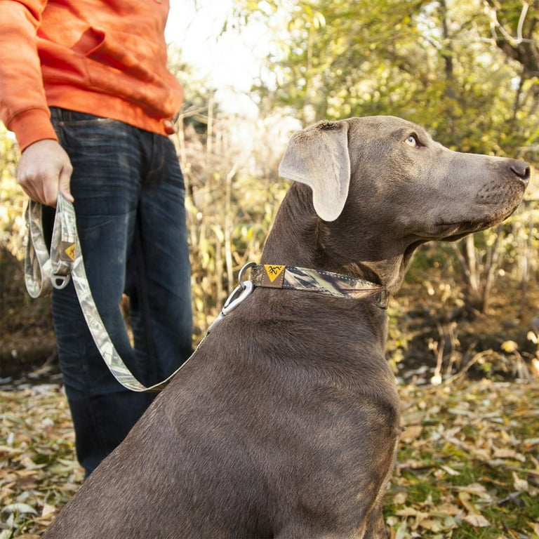 Browning 5290199 Camo Dog Leash 6' Brown Mossy Oak, P000005290199 -  Walmart.com