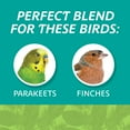 thumbnail image 5 of Pennington Small Breed Everyday Blend Dry Bird Food, for Parakeets, Canaries and Finches; 3 lb. Bag, 5 of 12