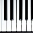 thumbnail image 2 of GAXIRE 2 piezas de herramientas profesionales de reparación de teclas de piano de plástico para pianistas., 2 of 6